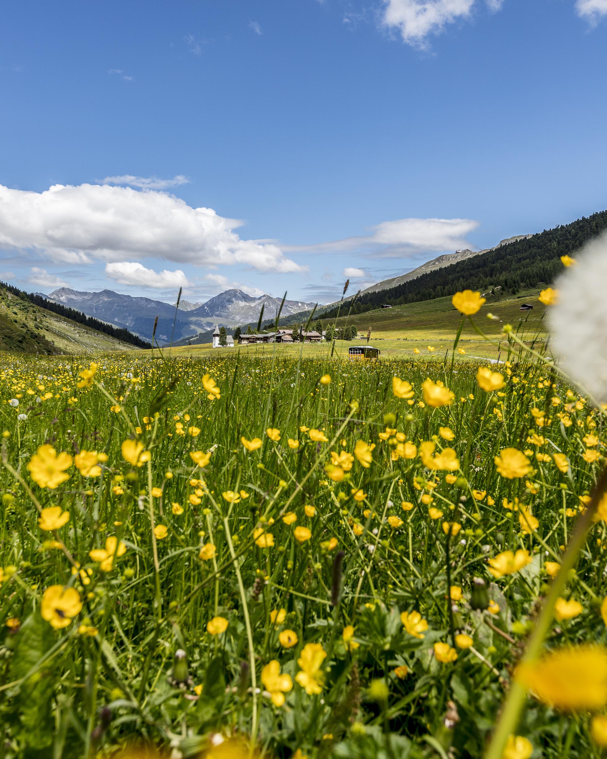 Image de 4 pour 3 à l'Hôtel Piz Buin
