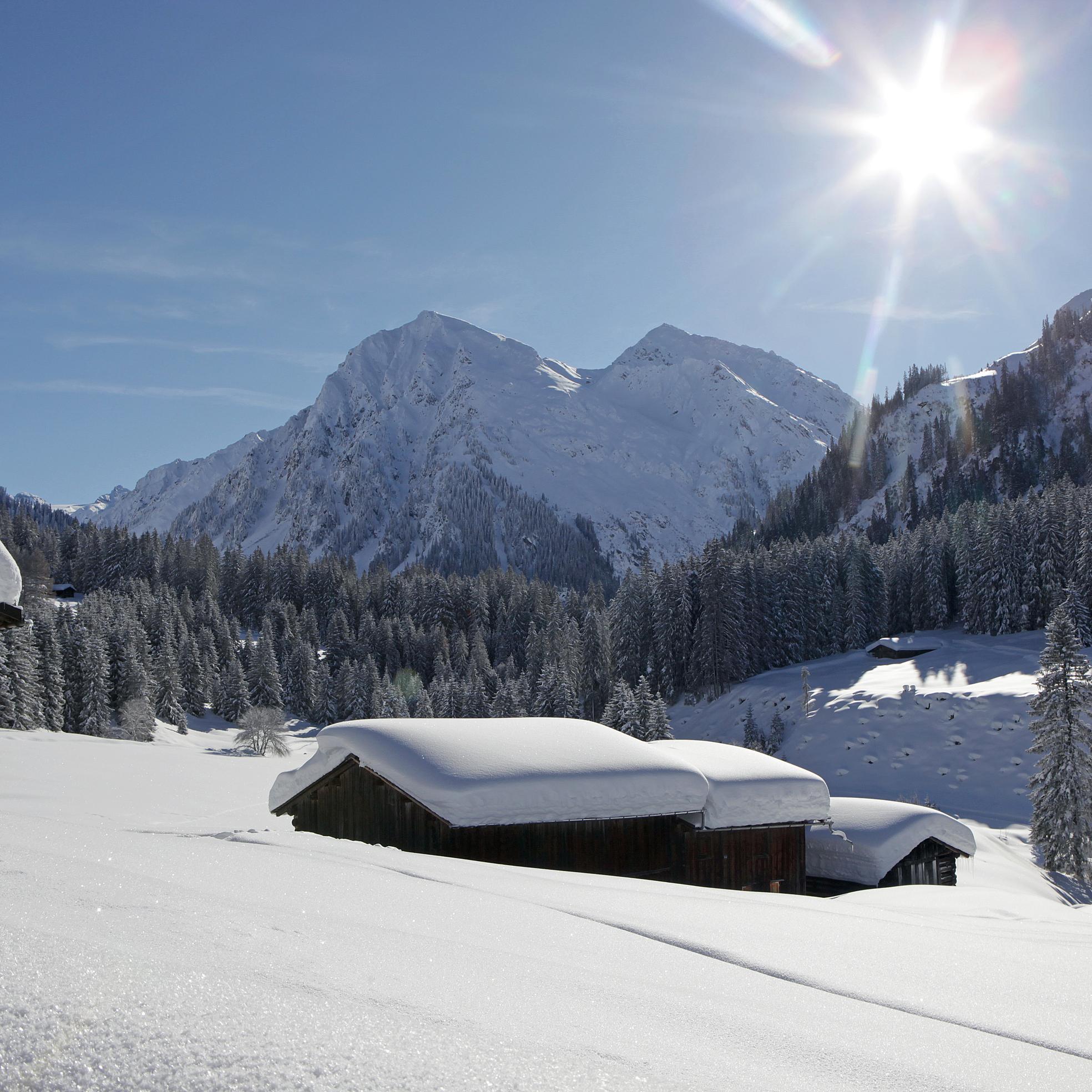 Alp Garfiun Klosters Winter