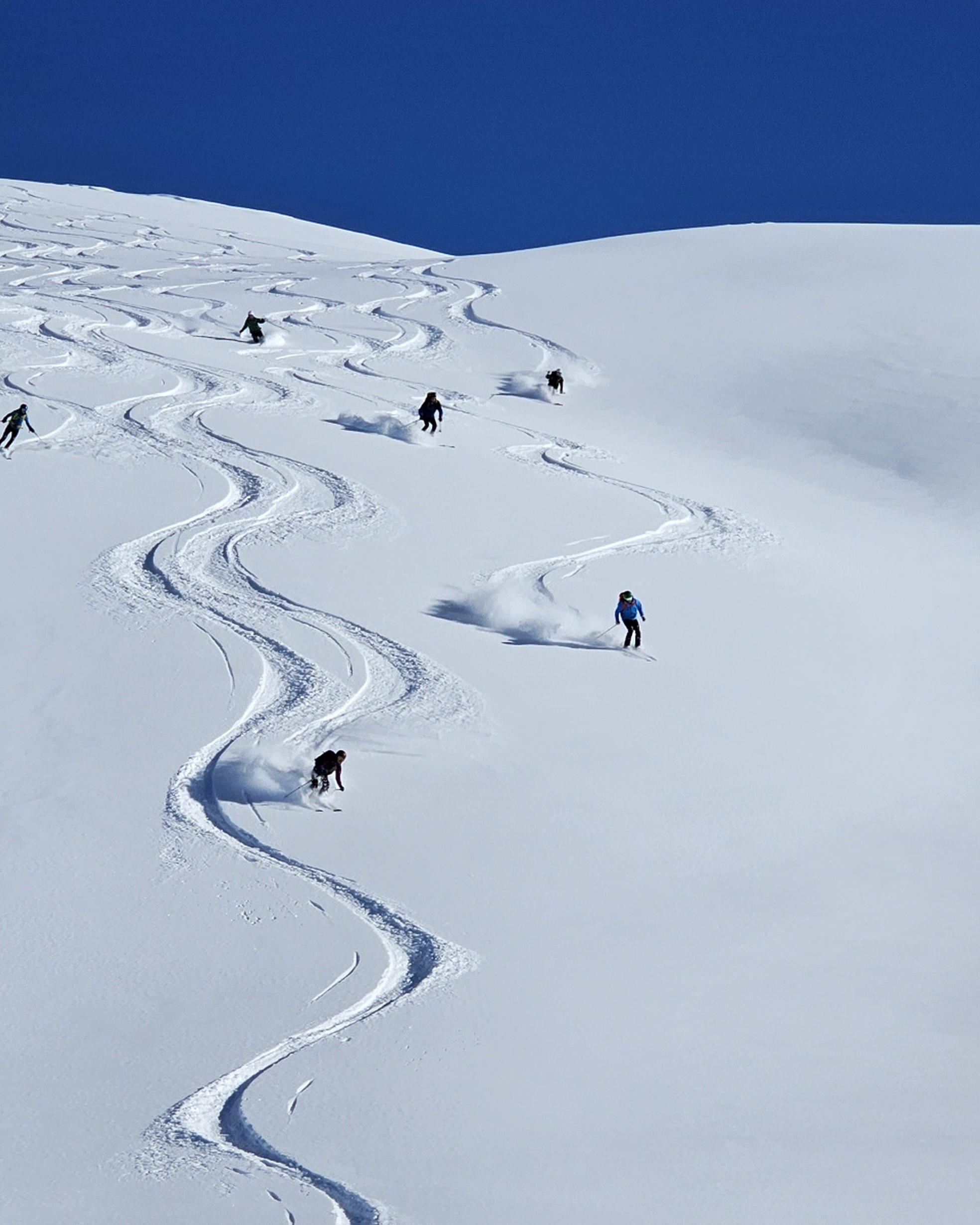 Bild von Freeriden in Davos Klosters