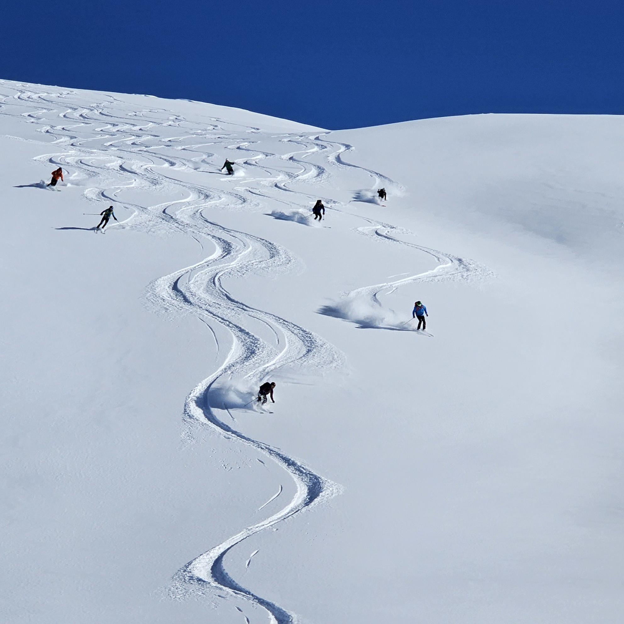 Bild von Freeriden in Davos Klosters