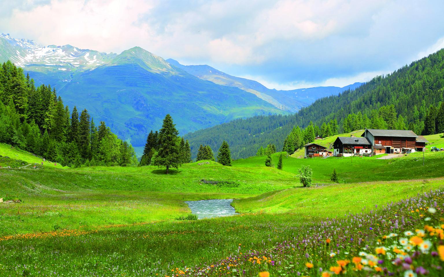Bild von 7 Tage Piz Buin for Friends