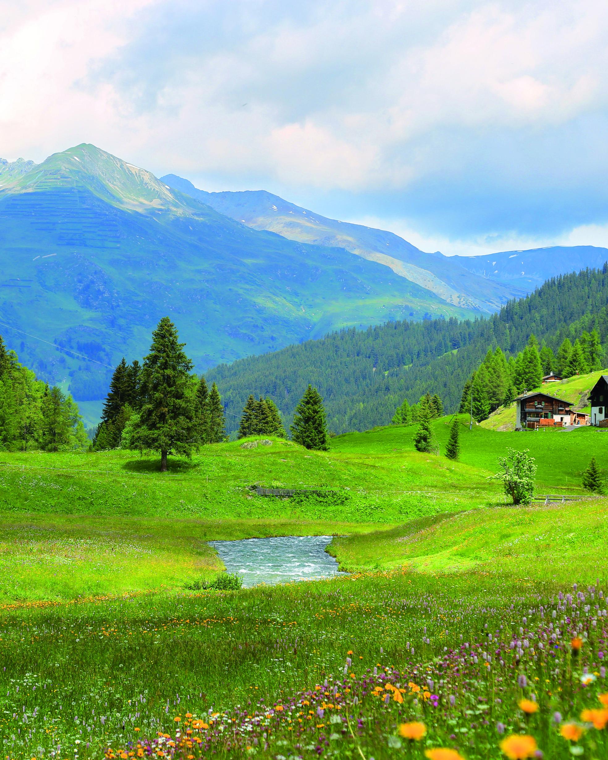 Image de 7 Jours Piz Buin for Friends
